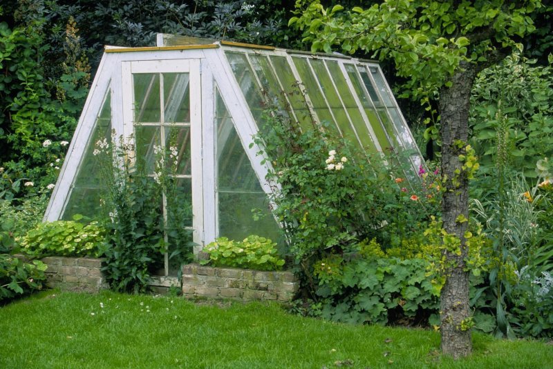 Теплица Greenhouse 1117