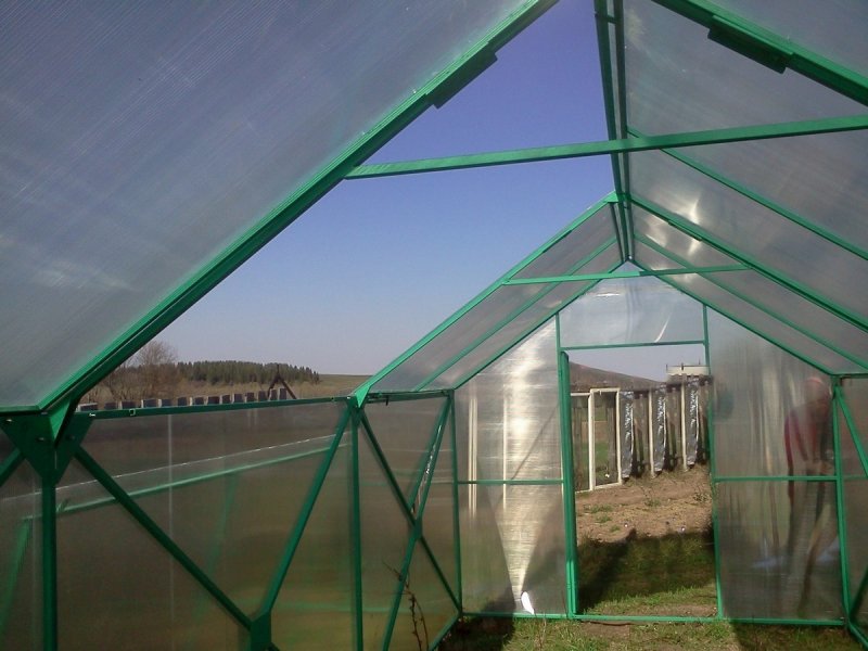 Теплица Greenhouse