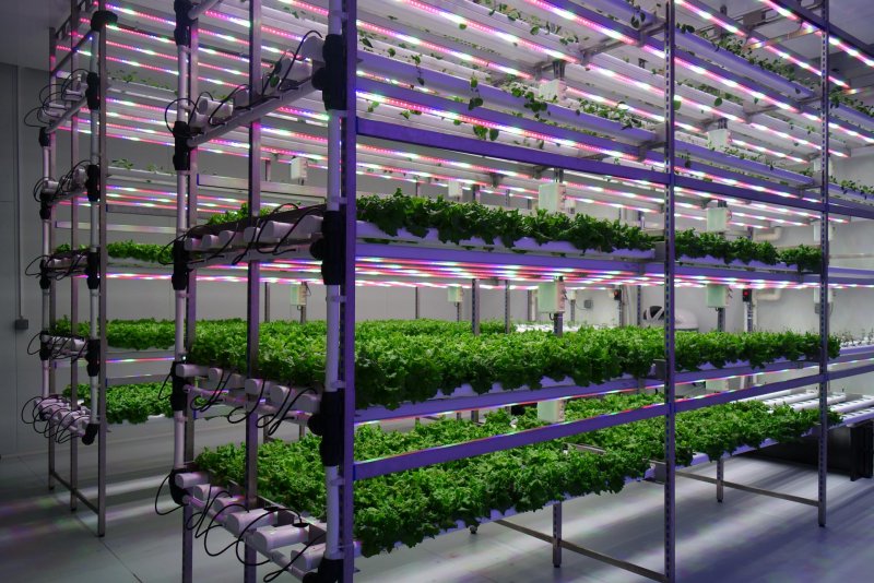 Bowery Farming вертикальная ферма