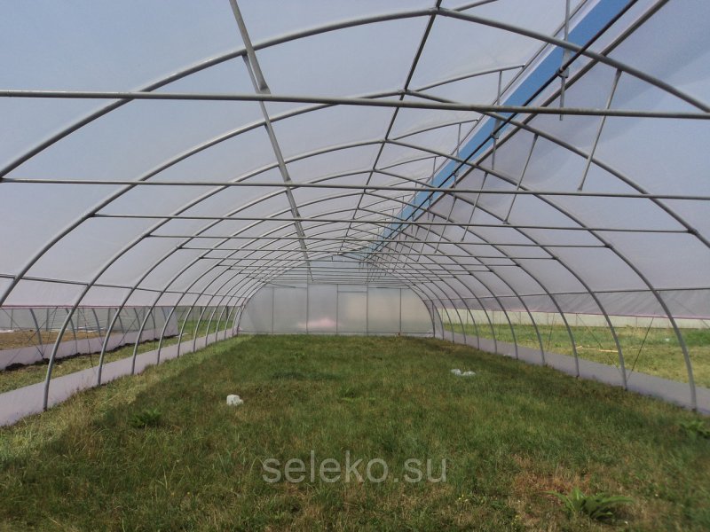 Теплицы фермерские Селеко