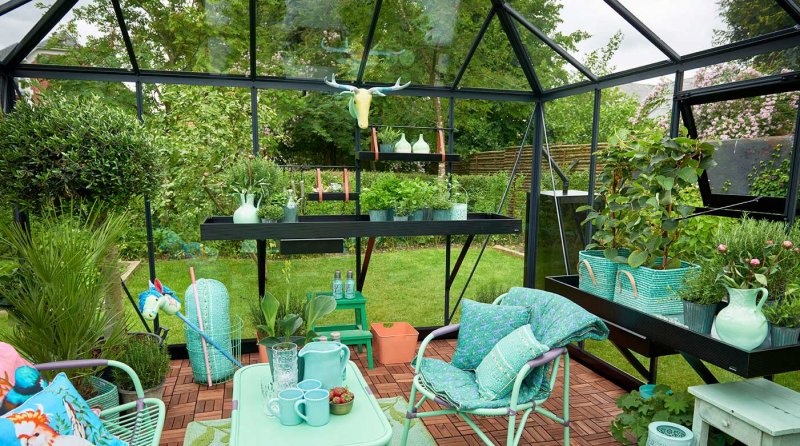 Cheap Greenhouse