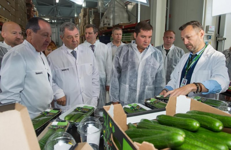 Теплицы в Людиново Агроинвест