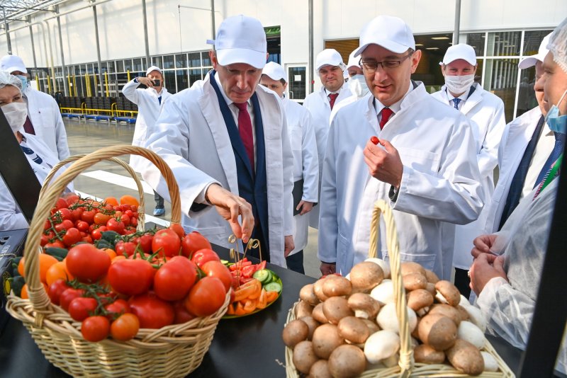 Тепличный комплекс Благовещенск