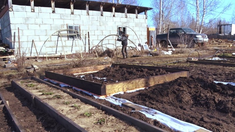 Парник без фундамента с поликарбонатом