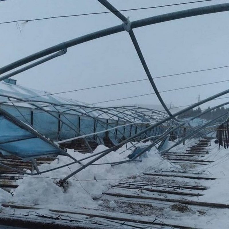 Обрушение теплицы от снега