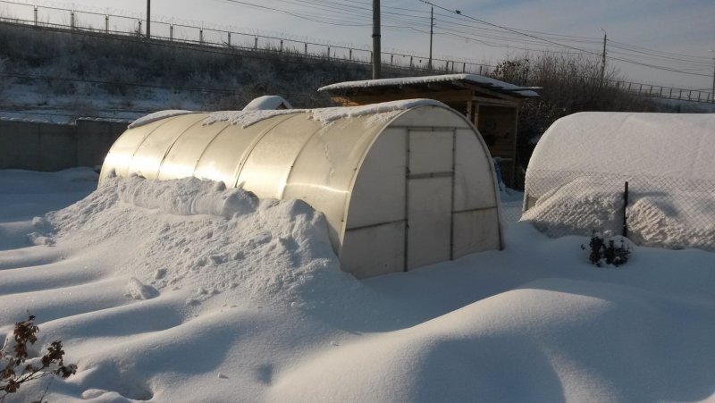 Парники из поликарбоната зимой
