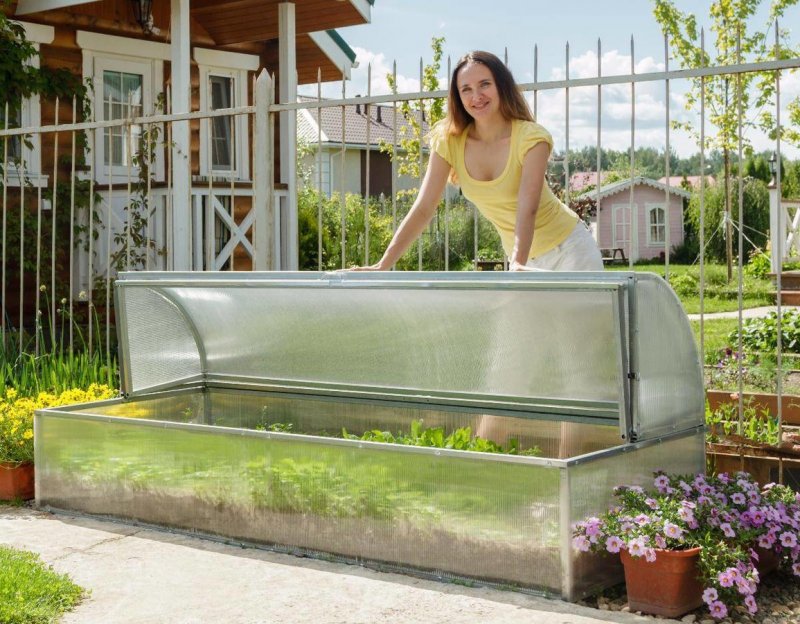 Теплица ТМКН Слава перчик 180х150см