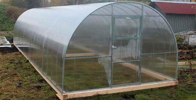Теплица Перчина 1.5 х 4