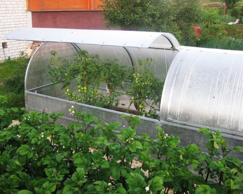Парник Гарант 5 м