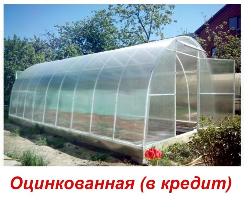 Теплица 6х3 из поликарбоната