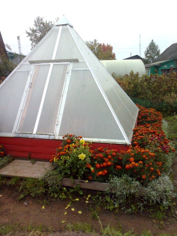 Greenhouse Wood Mini