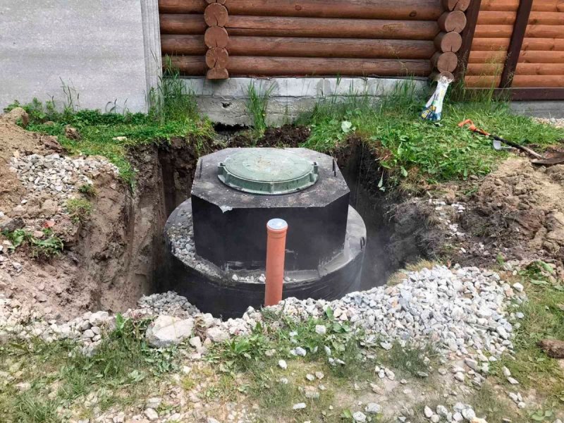 Растения которые прикрывают септик
