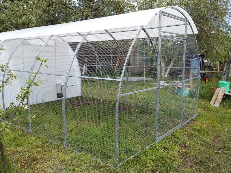 Курятник из поликарбоната