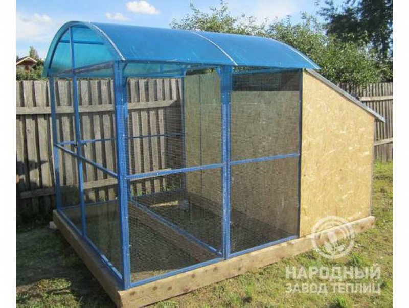 Курятник из поликарбоната