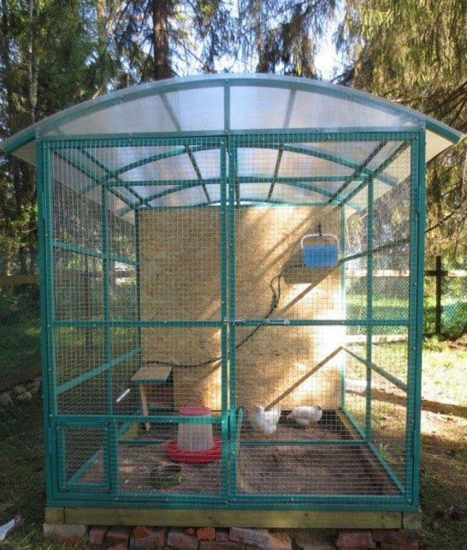 Птичник из поликарбоната