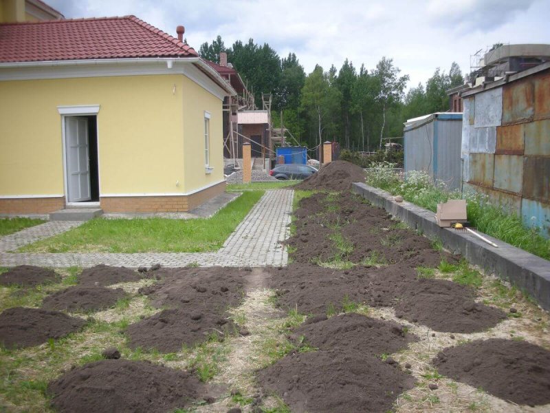 Планировка заезда на участок