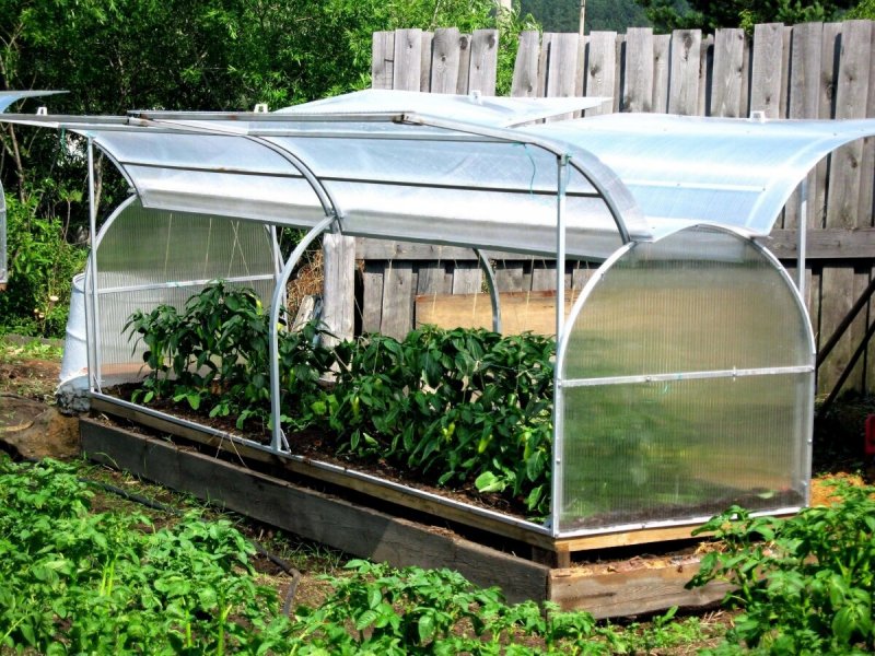 Парник Greenhouse т-21
