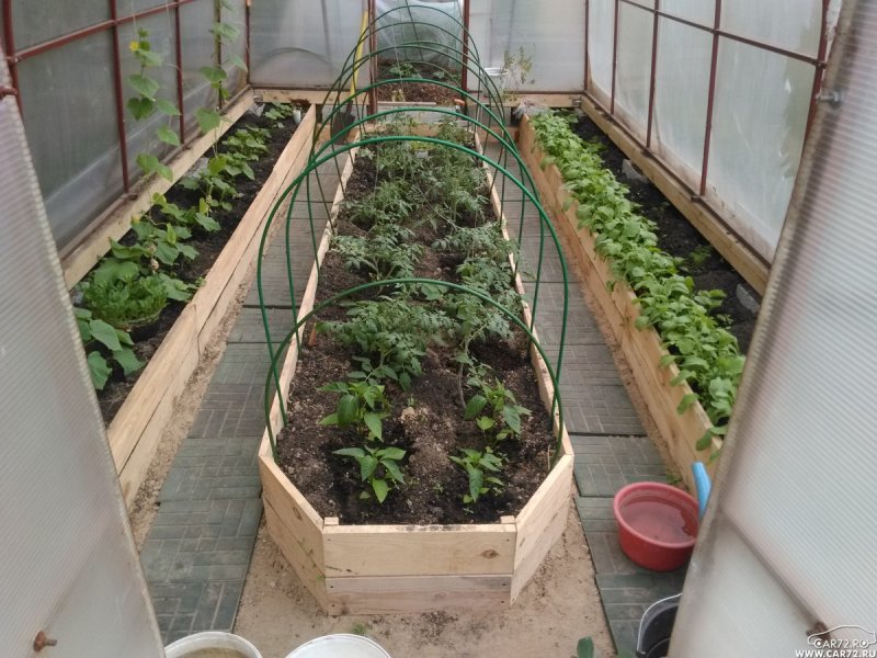 Грядки в парнике 3 на 6