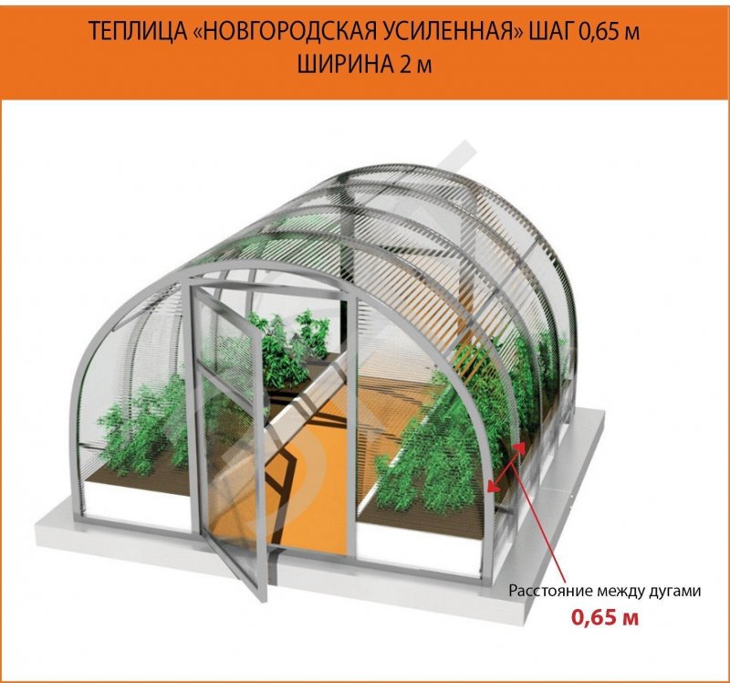 Теплица Велес 40x20/0.67 8 метров