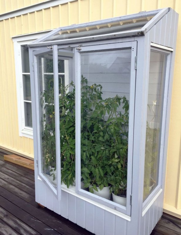DIY Mini Greenhouse