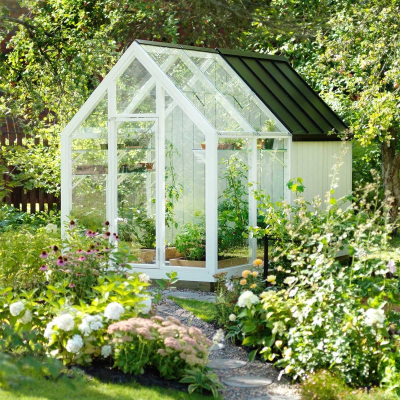 Теплица Елены Власенко Green House