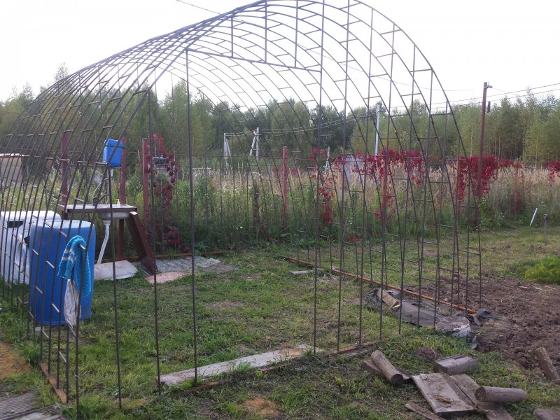 Вино места