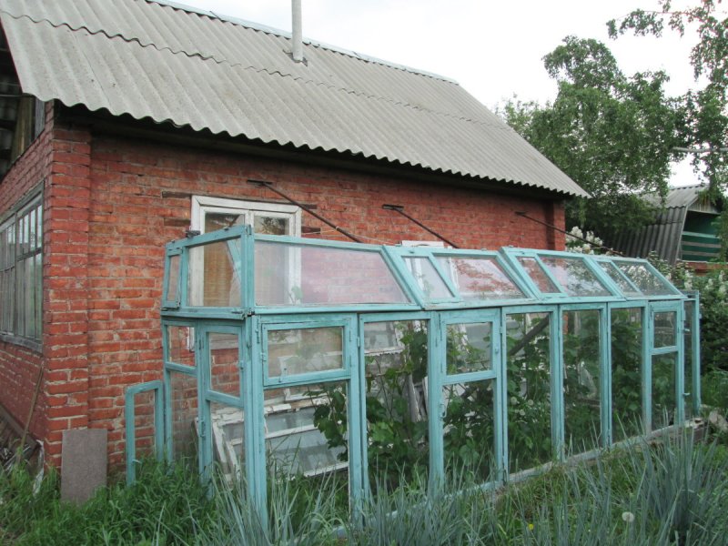 Разборная теплица для винограда