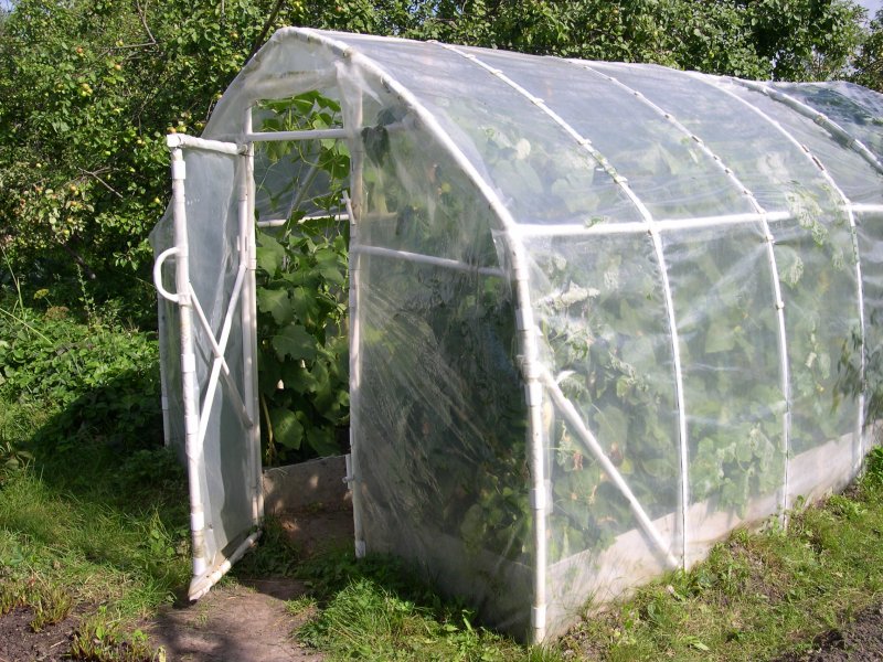 Теплица Gardeck Ларгуша 200х300см