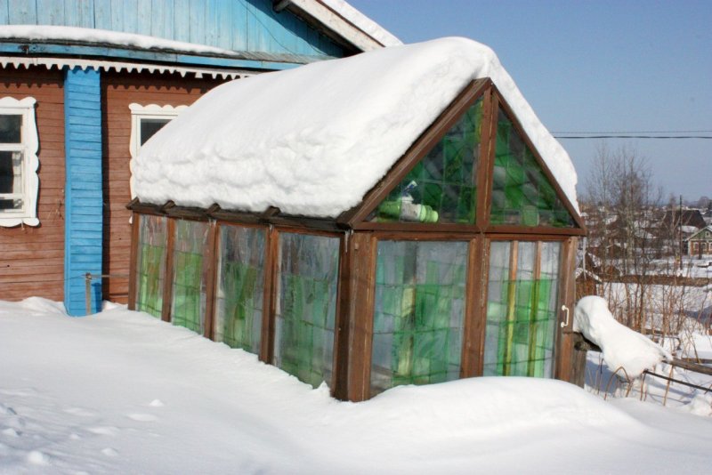 Теплица из пластиковых бутылок