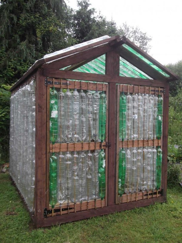 Парник из стеклянных бутылок