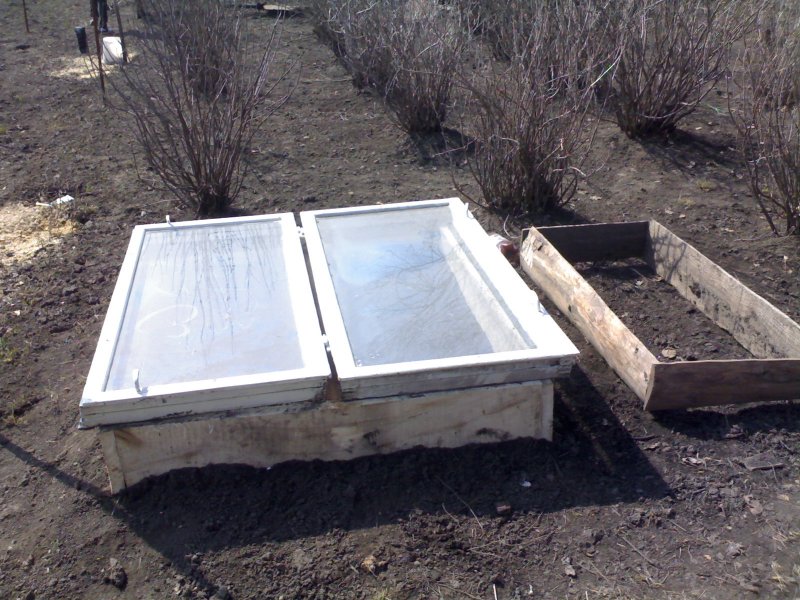 Мини парник из оконных рам