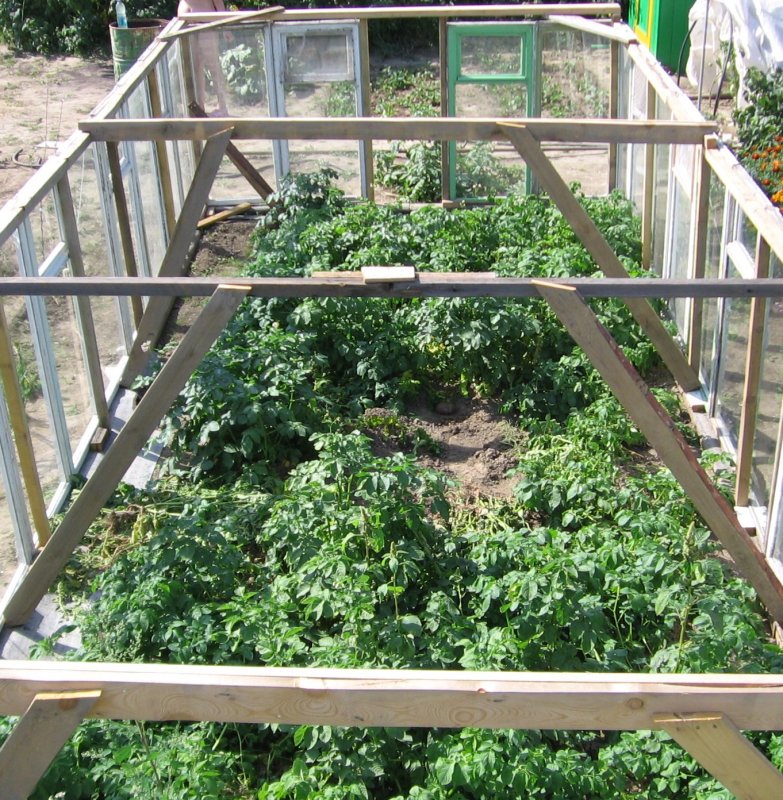 Парник из балконных рам