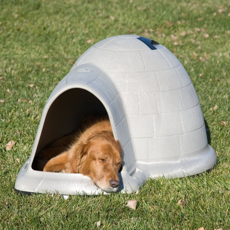 Dogloo будка