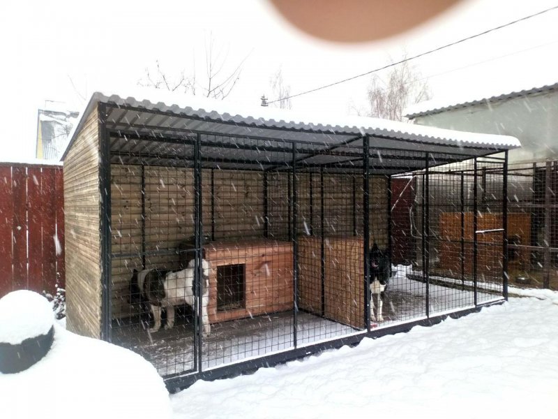 Вольер для собаки 2.5х5