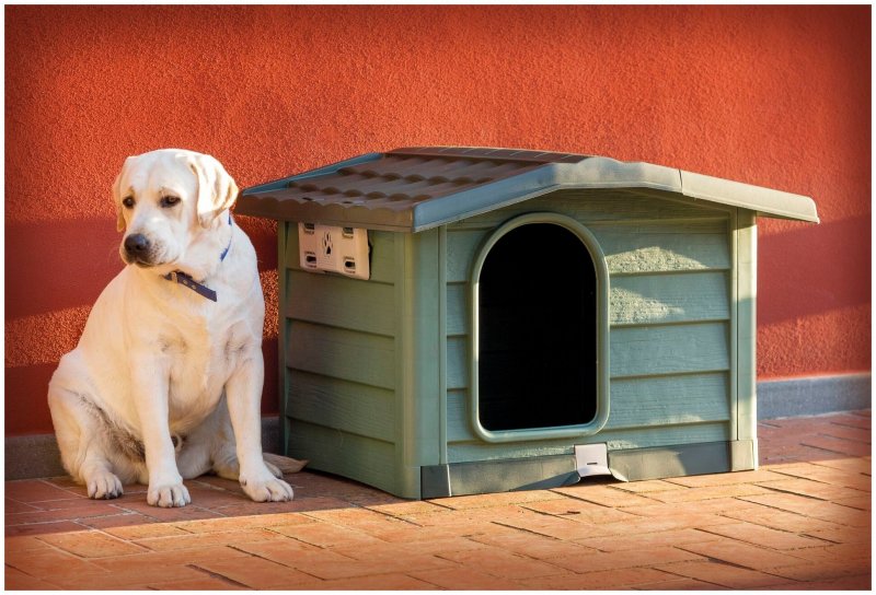 Утеплитель для будки Bama Pet Bungalow l
