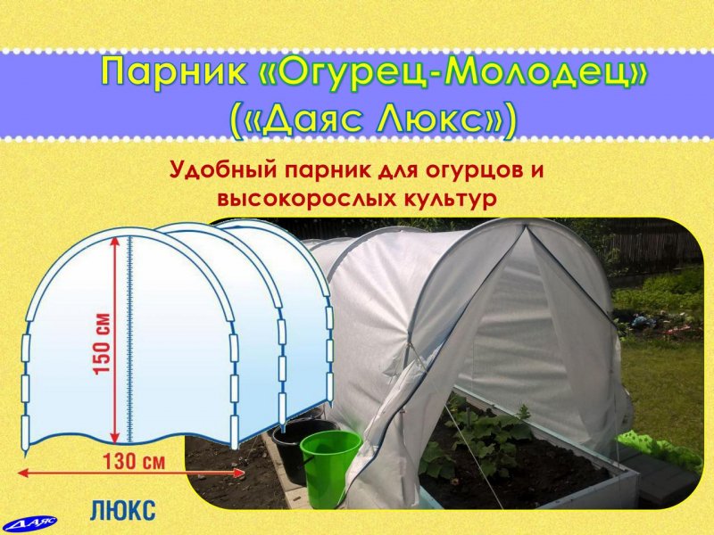 Парник ДАЯС Люкс огурец молодец