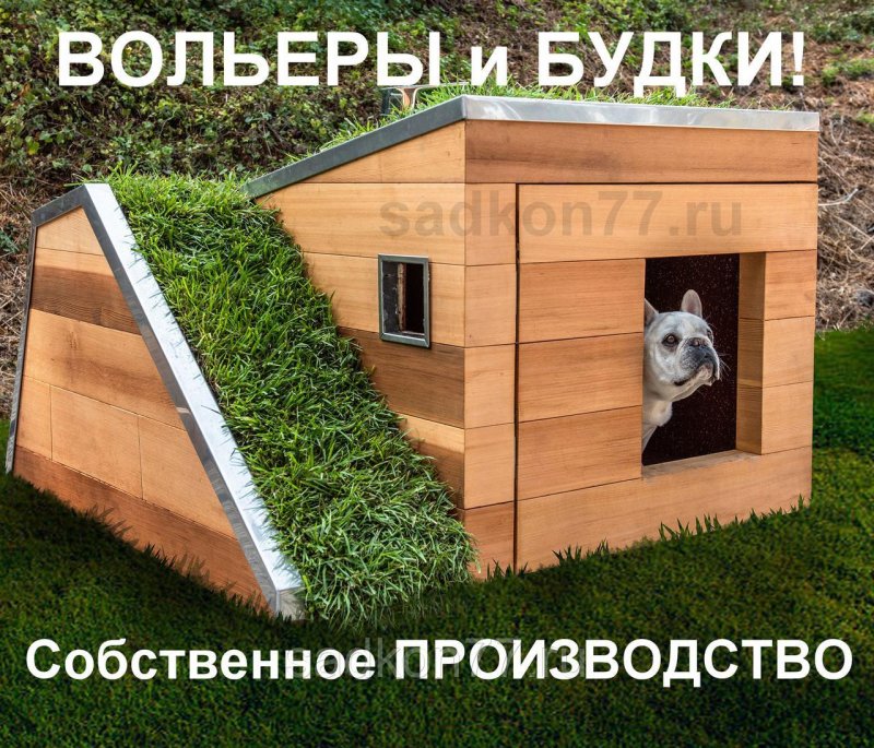 Дизайнерские домики для собак