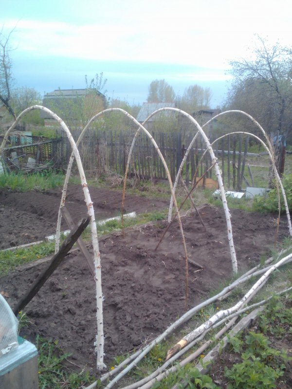 Парник пластиковый