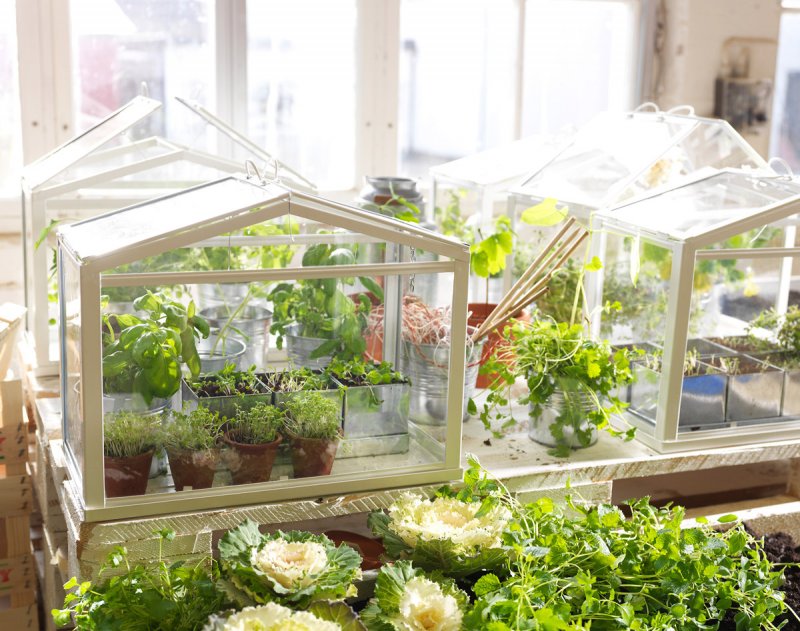 Мини умная теплица Greenhouse