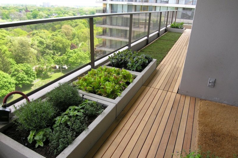 Мини теплица Greenhouse