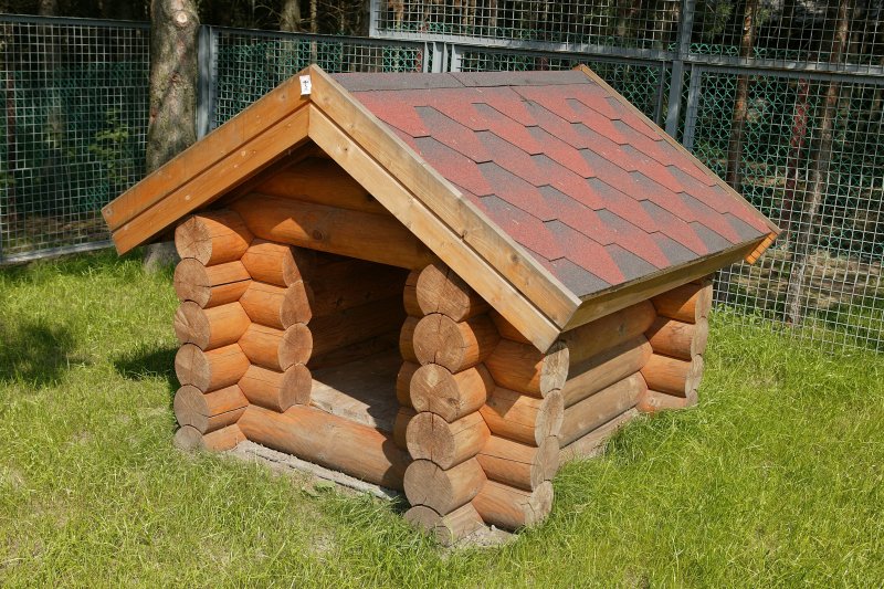Собачья будка из оцилиндровки