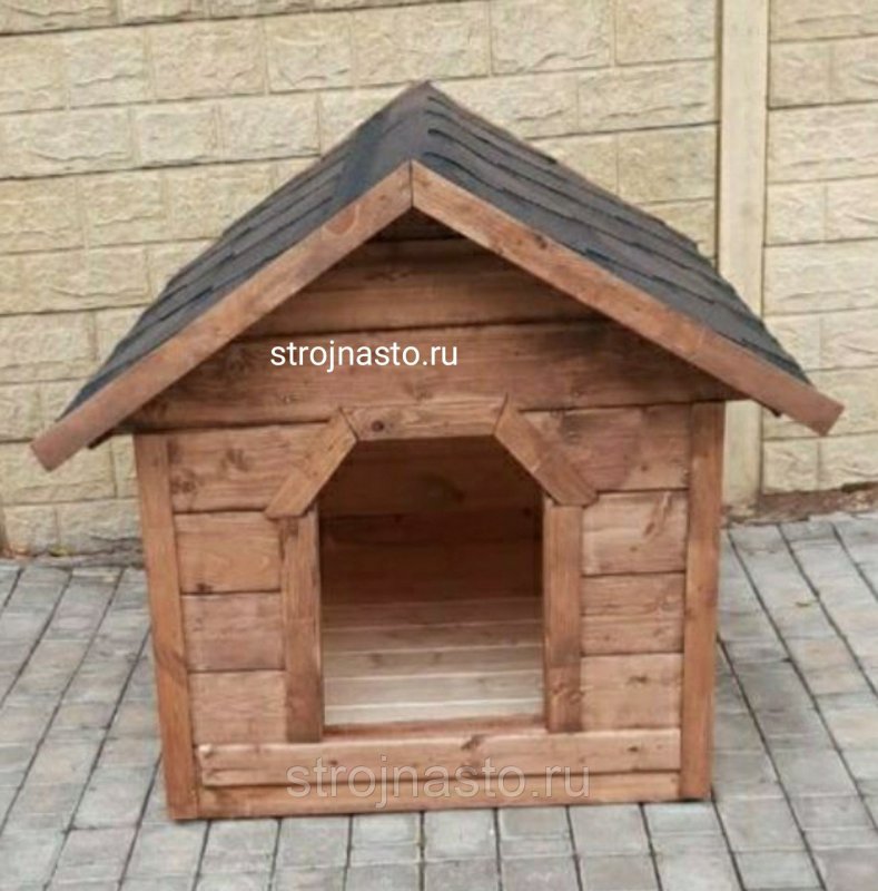 Собака в будке Россия