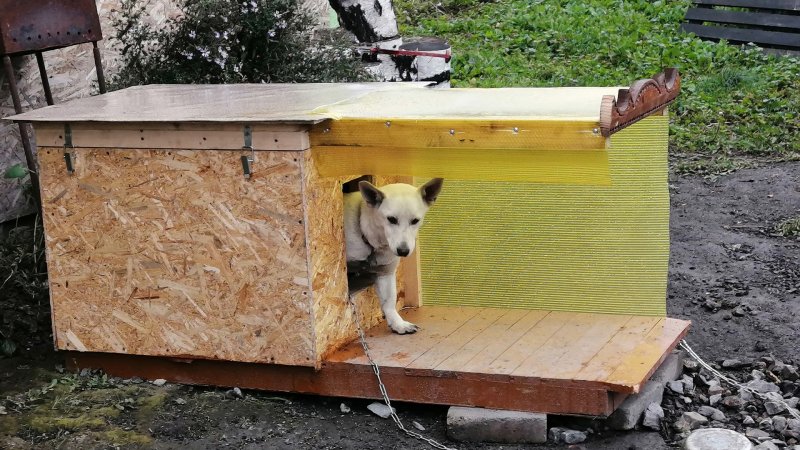 Теплая будка для собаки своими руками из подручных