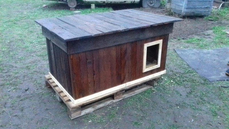 Контур собаки