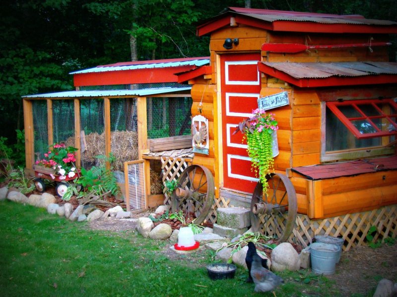 Сказочный курятник