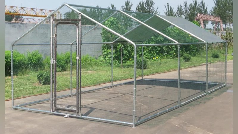 Chicken Coop in Shade or Sun