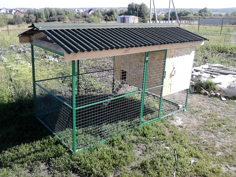Rabbit Pen вольер
