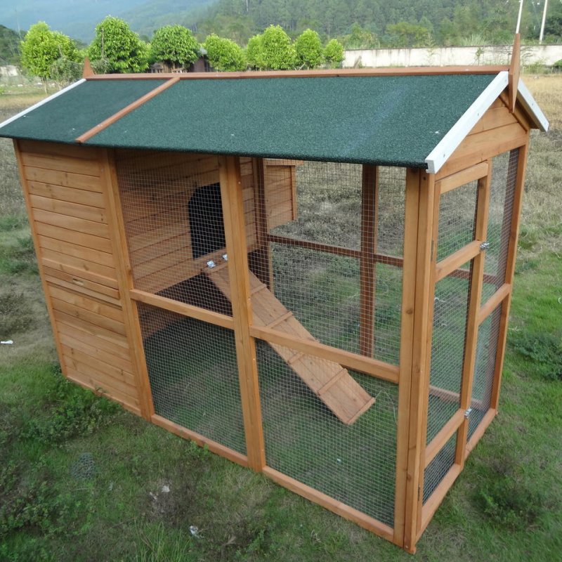 Красивый курятник