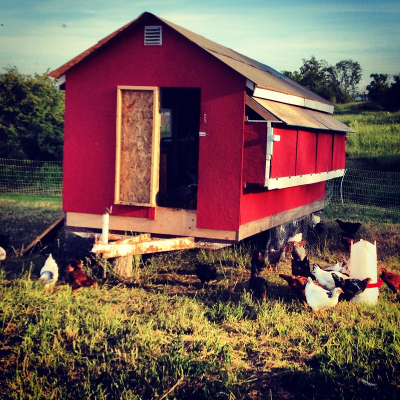 Chicken House