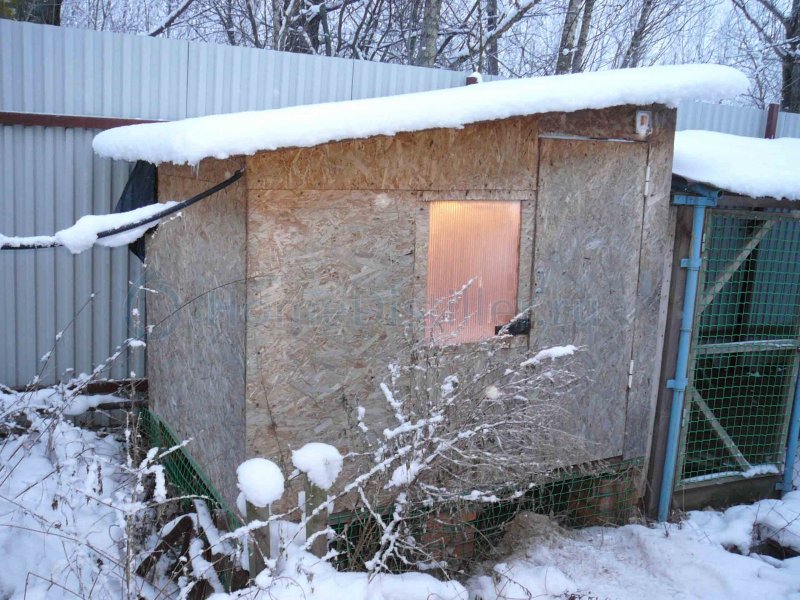 Курятник зимний